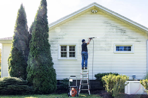 Best Sidewalk Pressure Washing  in Wilton Manors, FL