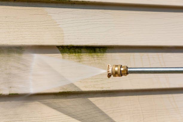 Best Roof Power Washing Services  in Wilton Manors, FL